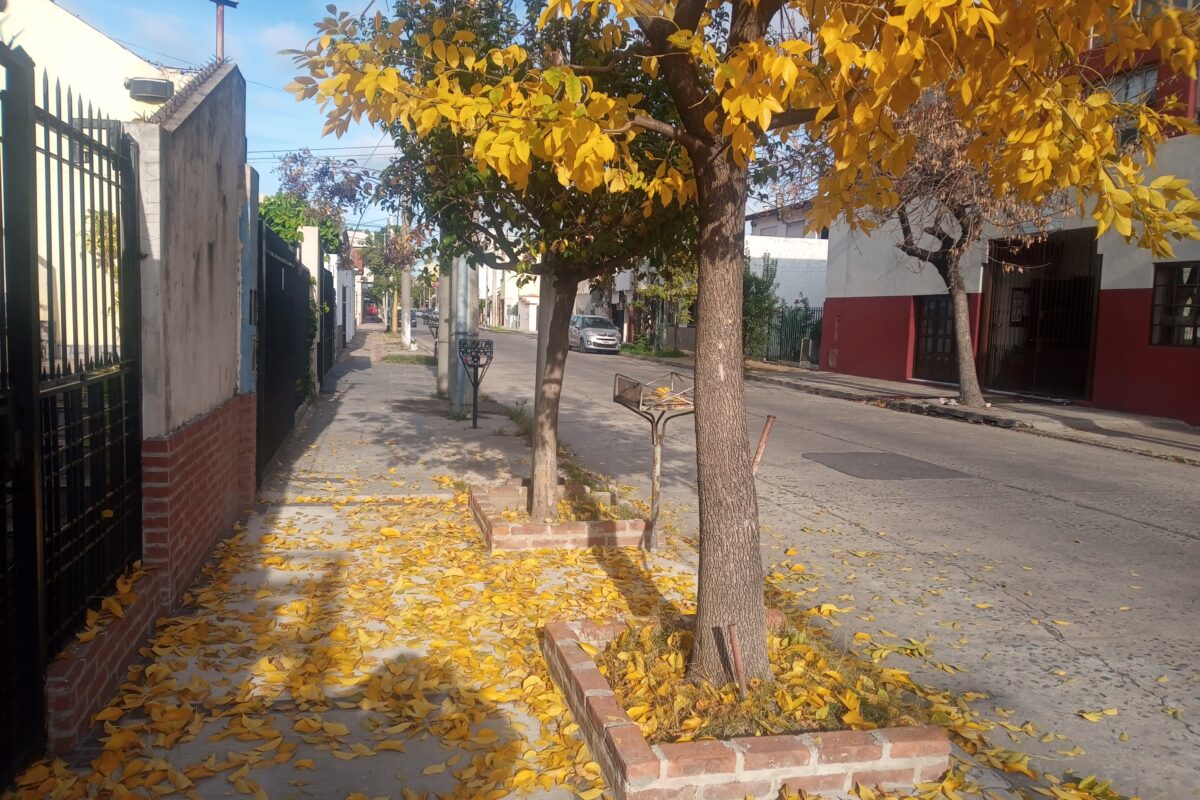 Finde bien otoñal