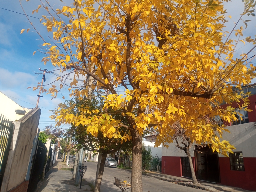 El fin de semana nos visita el polo