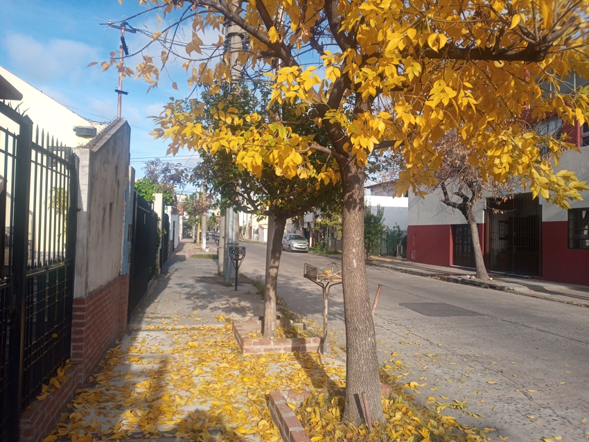 Cuando el invierno viene marchando