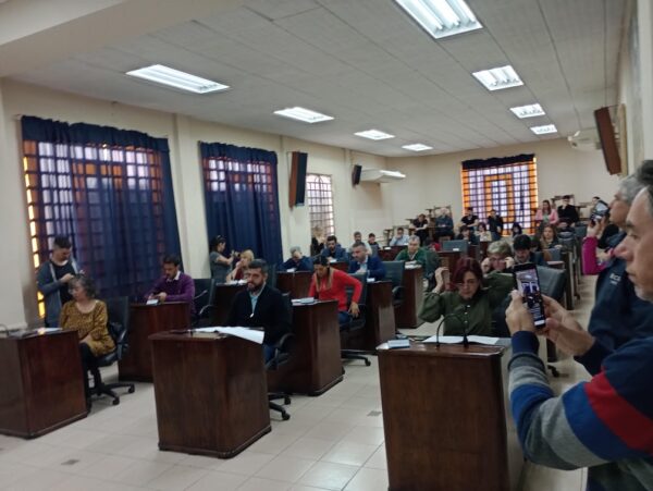 Concejo Deliberante: piden intensificar controles de alcoholemia
