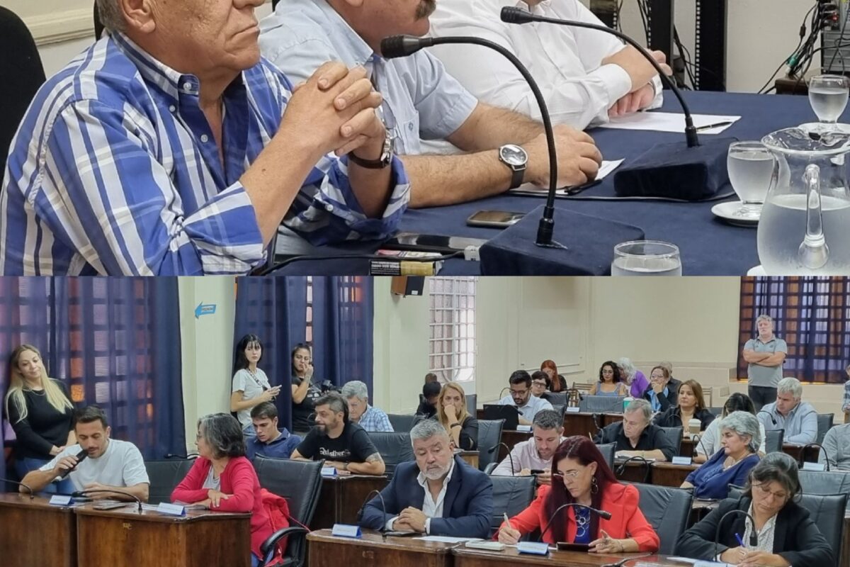 HCD: algunos cruces pero mucho consenso en sesión especial por el Día de la Memoria