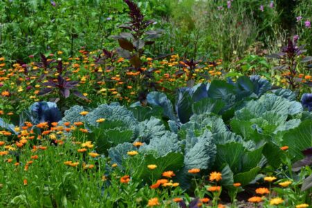 “El rabanito heavy” dará taller de huerta ecológica