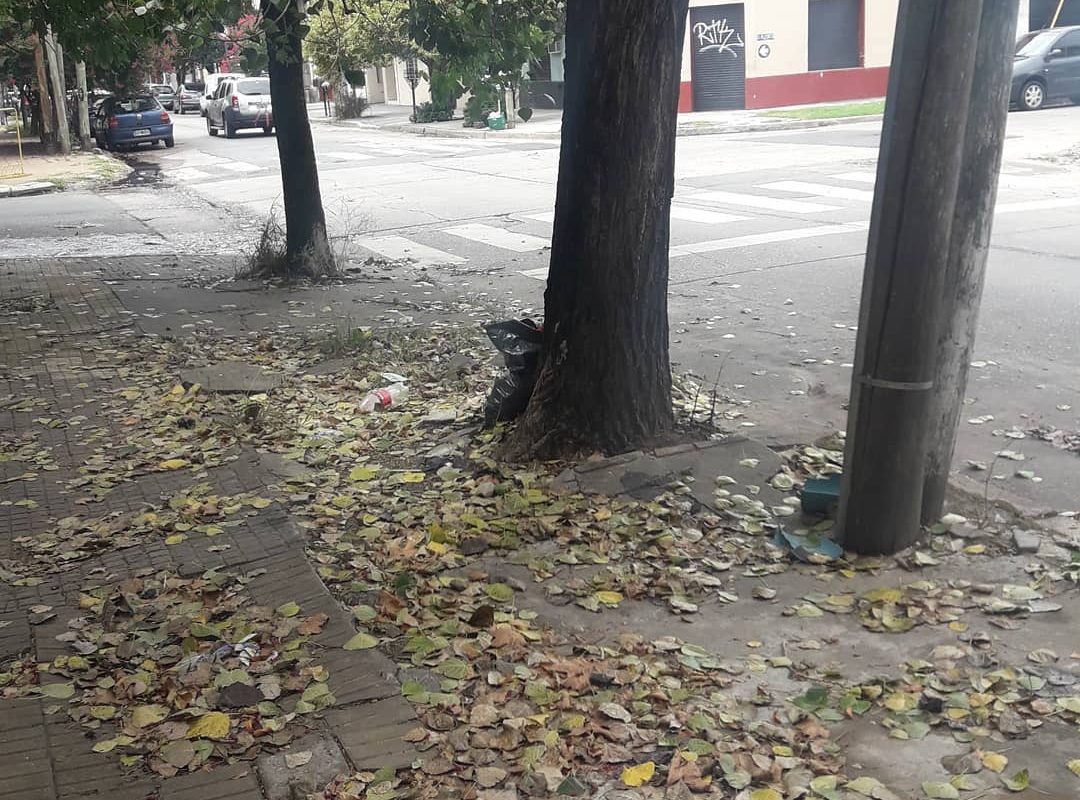 La lluvia se despide a la tarde