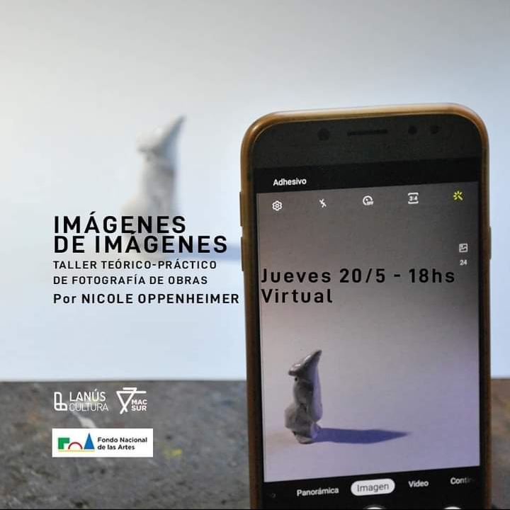 “Imágenes de imágenes” en el MACSur para amantes de las obras de arte