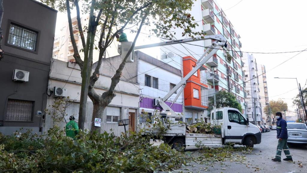 Plan de poda y arbolado urbano en Lanús O.