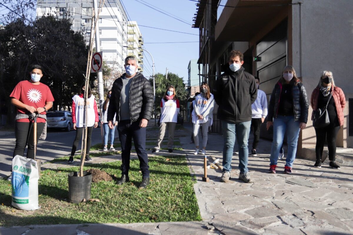 Reemplazan más de 20 árboles en Escalada