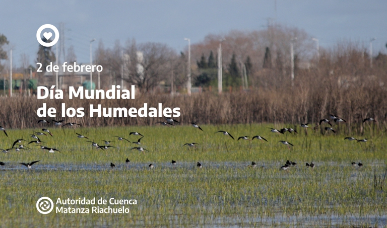 Día Mundial de Humedales: ACUMAR, en encuentro por un inventario nacional