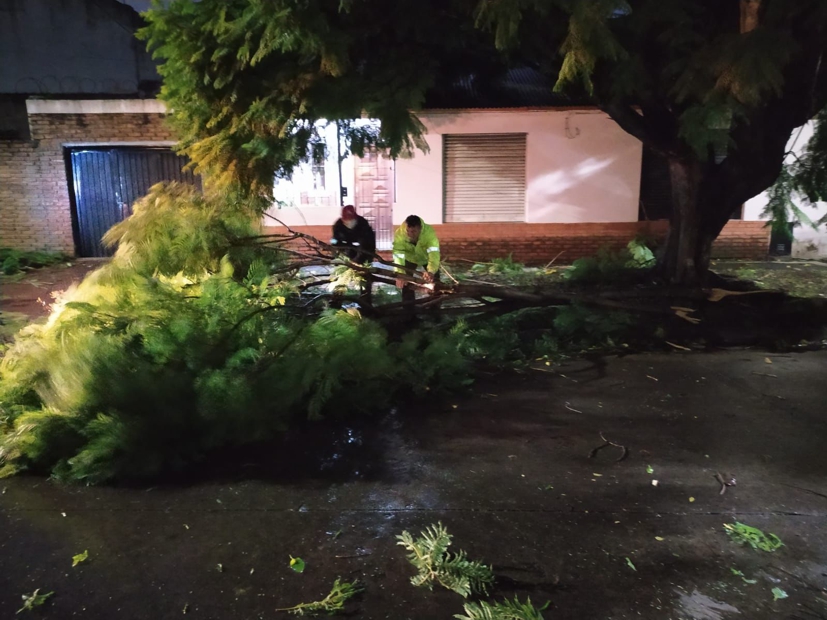 Temporal en Lanús: actúa Defensa Civil tras ráfagas de 126 km/h y caída de árboles