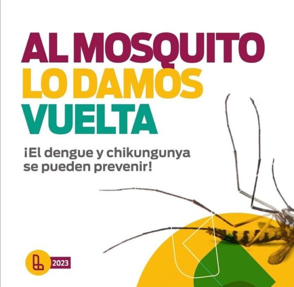 Fumigan contra el mosquito del dengue: síntomas y prevención