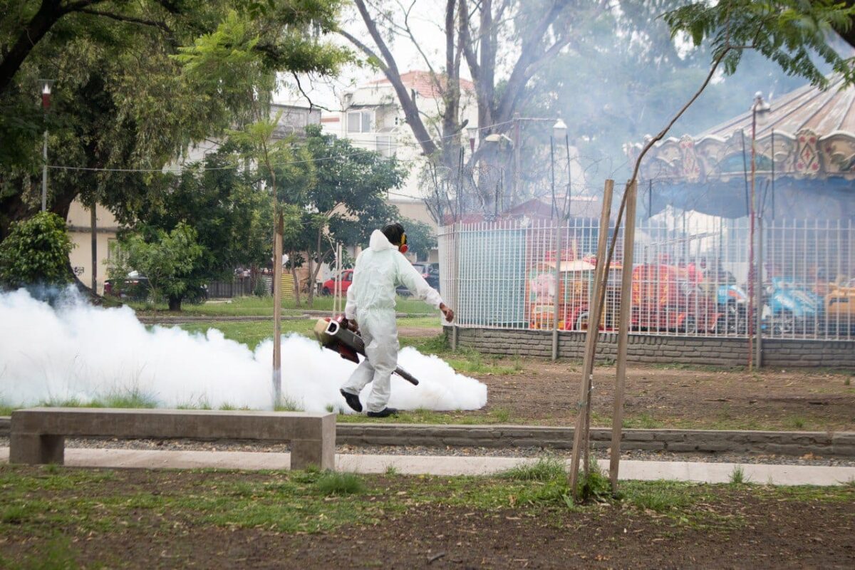 Operativo de fumigación en Lanús E.