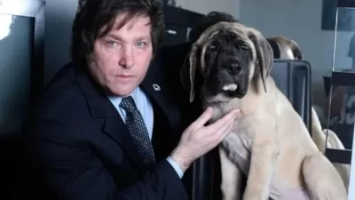 Milei viralizó un video en el que un perro fue atropellado y muerto en Lanús para ubicar al conductor